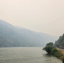 Крупнейший лесной пожар в Бельгии