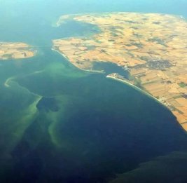 На популярных мировых пляжах забили тревогу: обнаружены токсичные бактерии