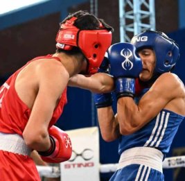Два азербайджанских боксера вышли в 1/4 финала чемпионата Европы в Сербии