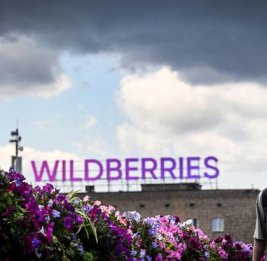 Российские склады посыпались: семь крупнейших центров Wildberries не работают