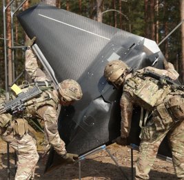 В Европе предупредили о рисках ядерной эскалации из-за британских БПЛА