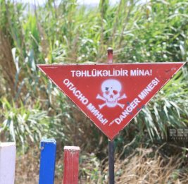 
ANAMA: За минувшую неделю от мин очищено почти 1,7 тыс. га территорий