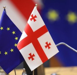 
ЕС требует от Грузии отмены законов о прозрачности и семейных ценностях