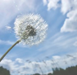 
Воздух в Азербайджане прогреется до 37&deg;