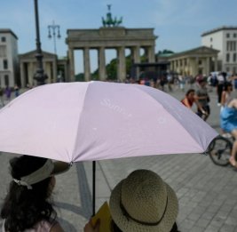 
С жарой в Германии связывают 14 тыс. смертей этим летом