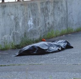 
В Гёйчае мужчина погиб в результате падения на него тюка сена