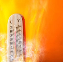 
В ближайшие 4 дня в Азербайджане ожидается до 41 градуса тепла