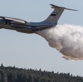 В Сербии объяснили, почему попросили у России Ил-76 для тушения пожаров