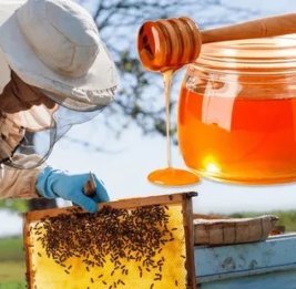 
На продаже меда Кыргызстан заработал более 660 тысяч долларов за полгода