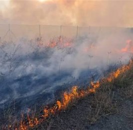 В Агдамском районе начался пожар на открытой местности