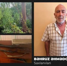 Жителя Гёйчая задержали за выращивание наркосодержащих растений