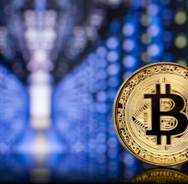 
Цена биткоина может достичь 300 тысяч долларов к концу 2029 года