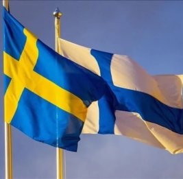 Финляндия и Швеция вместе защитят воздушное пространство
