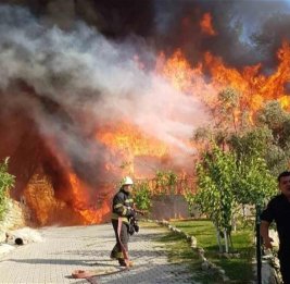 В турецком Фетхие сильный лесной пожар приблизился к жилым районам