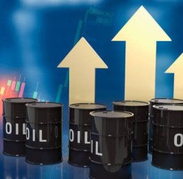 
Нефтяные котировки растут