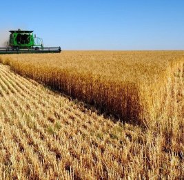 Самый большой месячный рост цен на сельхозпродукцию с 2012 года