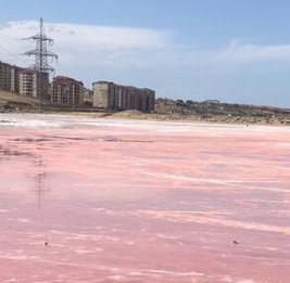 Дожди или канализационные воды?