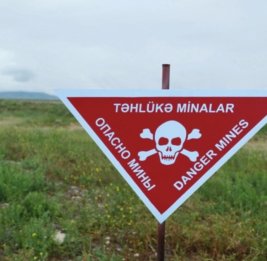 Для повышения безопасности на освобожденных территориях будут привлечены собаки-саперы