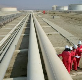 
TAP оценивает возможности транспортировки водорода и биометана по существующей инфраструктуре