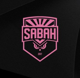 ФК &laquo;Сабах&raquo; запускает программу на 10 млн манатов для поддержки детского футбола
