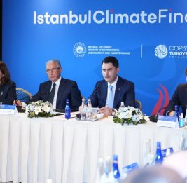 
М. Бабаев: Баку поддержит Анкару в рамках COP31 для достижения конкретных целей