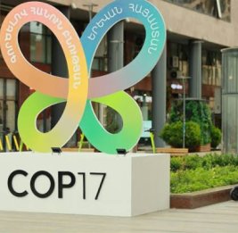 
Ереван может провалить COP17