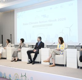
В рамках BCAW2026 обсуждаются вопросы развития зеленой энергии