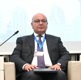 
Председатель ANAMA: Минирование территорий &ndash; это проблема, влияющая на безопасность экосистемы