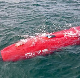 КСИР перехватил у Ормуза американский подводный беспилотник Dive-LD