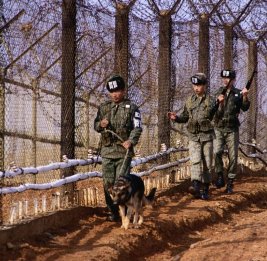 Военные КНДР более 20 раз пересекли границу с Южной Кореей за месяц