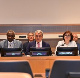 
Председатель Милли Меджлиса встретилась в Нью-Йорке с постоянными представителями государств-членов ОИС