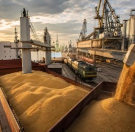 Латвия готовит удар по российскому зерновому экспорту