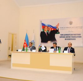 Партийное единство 