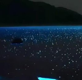 На Мальте сняли "море из звезд"