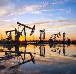 Аргентина вызвала послов Британии и Израиля из-за нефти у Фолклендов