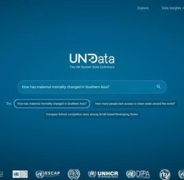
ООН и Google запустили глобальную платформу данных для ИИ