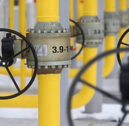 
Венгры заявили: российский газ не понадобится