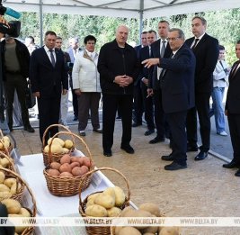Картофельная экспансия