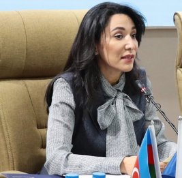 
Омбудсмен об обеспечении прав некоторых лиц армянского происхождения