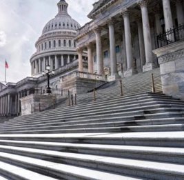 
Демократы в Сенате США потребовали расследовать ошибочный отчет ИИ о китайском судне