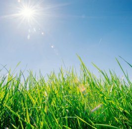 
Воздух в Азербайджане прогреется до 34&deg;