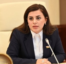 Депутат: Армянские власти дирижируют антиазербайджанской кампанией