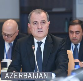 Министр иностранных дел Азербайджана выступил в Нью-Йорке на заседании Контактной группы по Джамму и Кашмиру