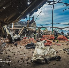 
Российские ВС нанесли удар по овощехранилищу в Харьковской области, погибли 7 гражданских лиц