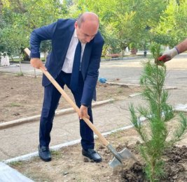 44 дерева в память о героях