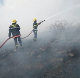 В Агсу вспыхнул пожар в горной местности