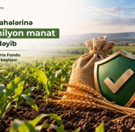 Когда стихия бьет по полям