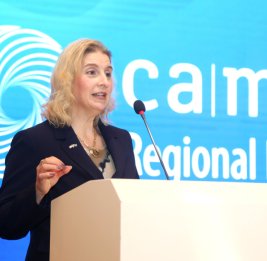 
Эми Карлон: Этот год стал очень успешным для азербайджано-американских отношений