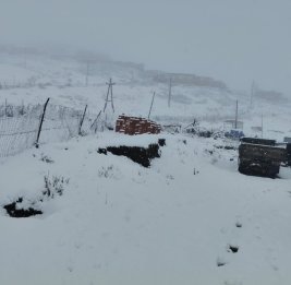 
В Губе выпал первый снег