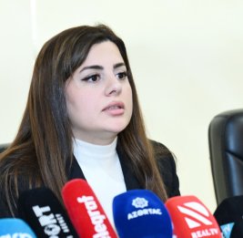 Депутат: В период оккупации Армения незаконно эксплуатировала 7 рудных и 39 нерудных месторождений Азербайджана